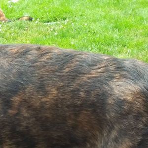 Meet your Posher, Ellen